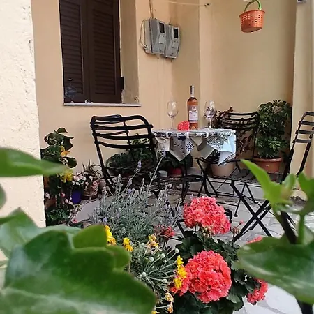 Jimmy's Lefkada City